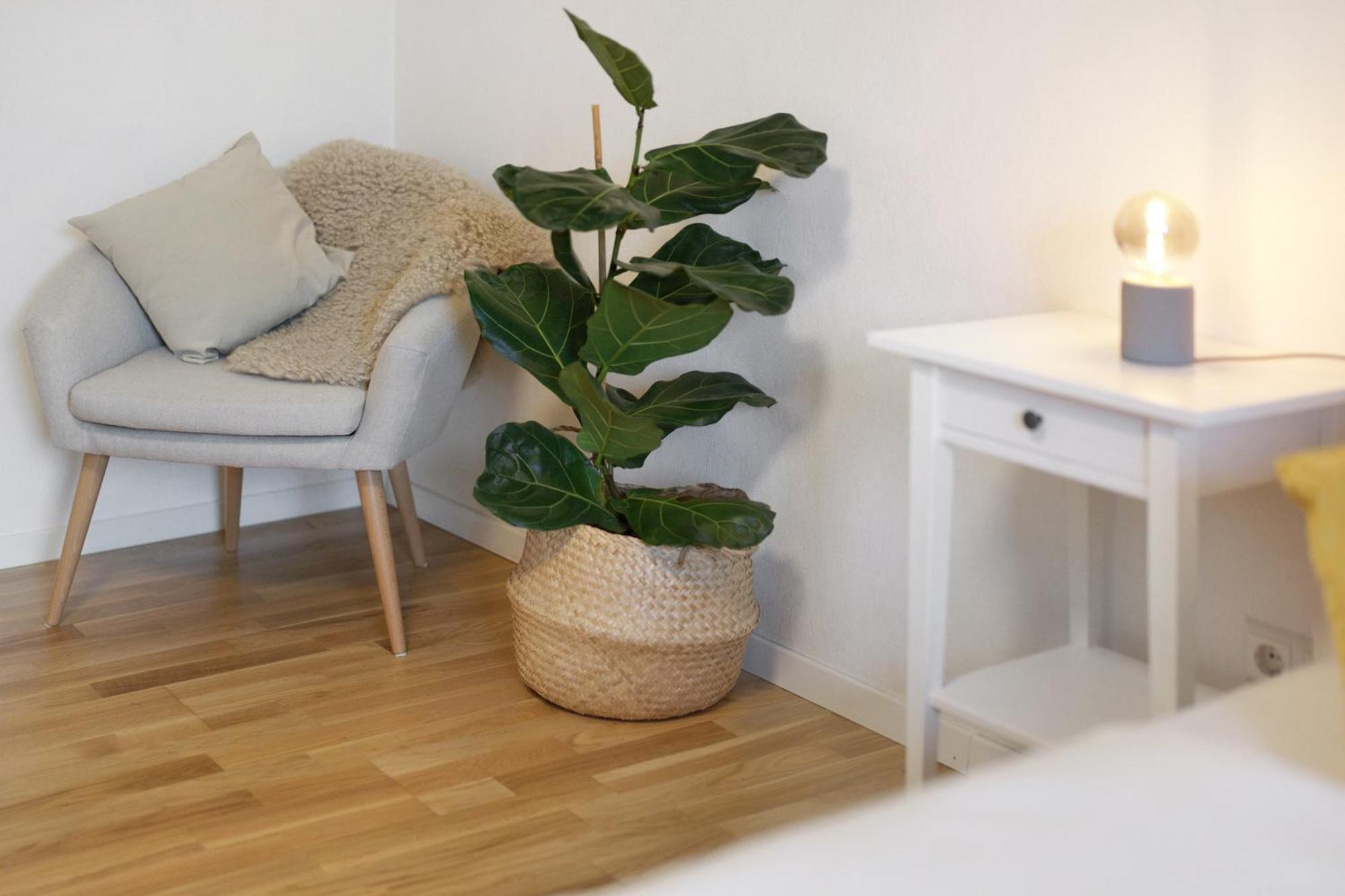Ferienwohnung Obsthof Fiess أوبركيرش المظهر الخارجي الصورة